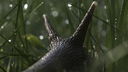 Similar image 22443649