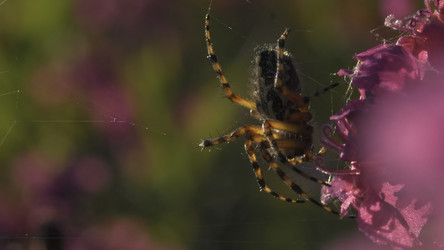 Similar image 22443652