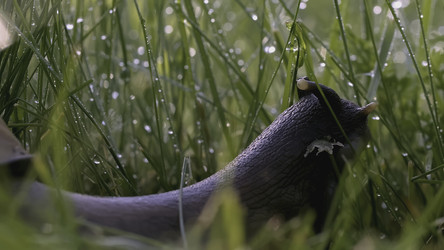 Similar image 22443657