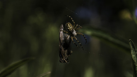 Similar image 22453165