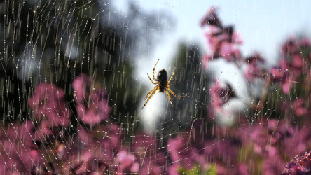 Similar image 22453167