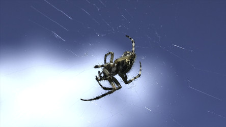 Similar image 22453169