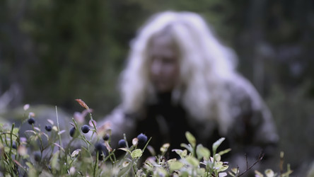 Similar image 22453180