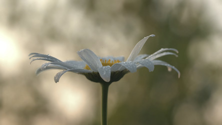 Similar image 22453182