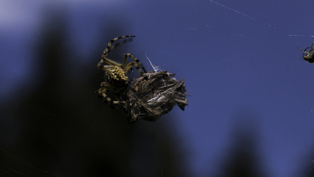 Similar image 22453184