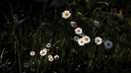 Similar image 22453185