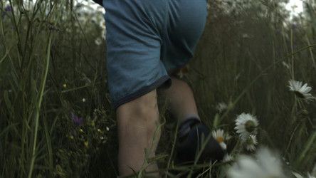 Similar image 22453198