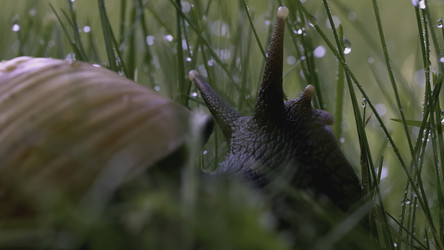 Similar image 22453212