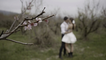 Similar image 22453215