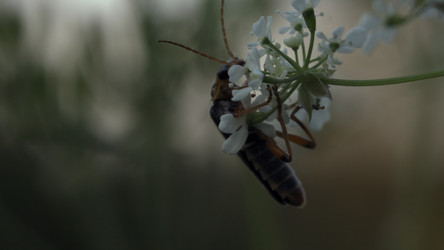 Similar image 22453227