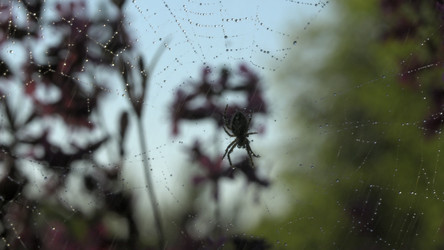 Similar image 22453229