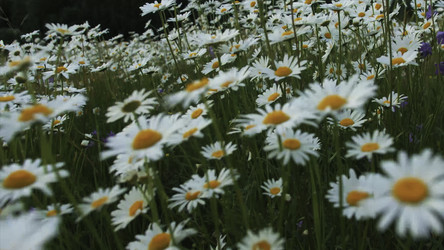 Similar image 22453230