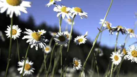 Similar image 22453243