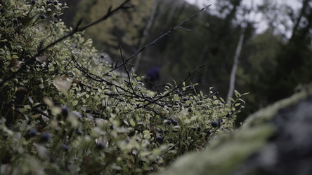 Similar image 22453244