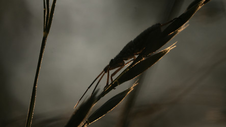 Similar image 22453260