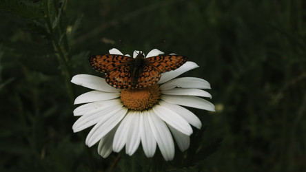 Similar image 22453304