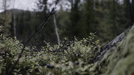 Similar image 22453334