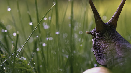 Similar image 22453335