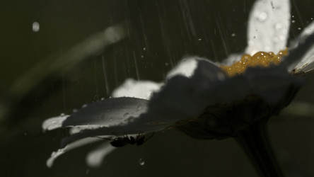 Similar image 22453350