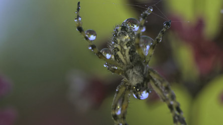 Similar image 22453395