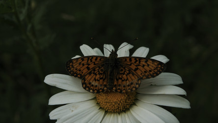 Similar image 22453397