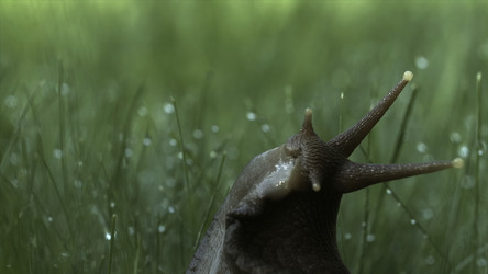 Similar image 22464085