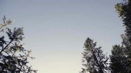 Similar image 22469851