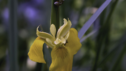 Similar image 22469869