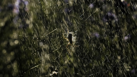 Similar image 22405121