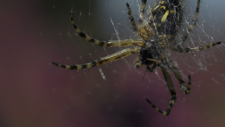 Similar image 22405140