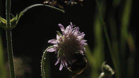 Similar image 22405155