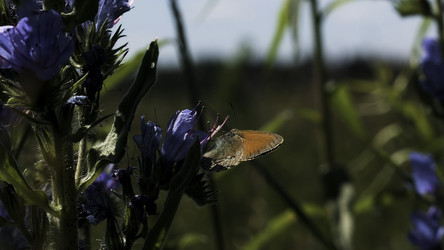 Similar image 22405170