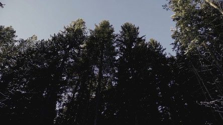 Similar image 22405199