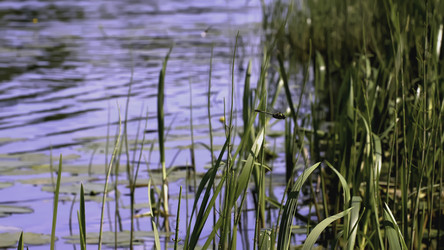 Similar image 22405200