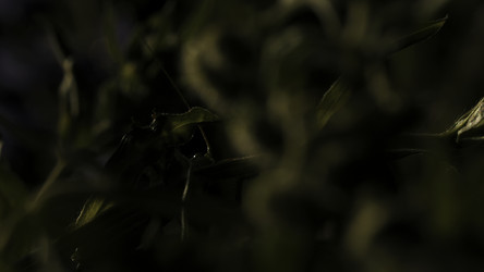 Similar image 22405245