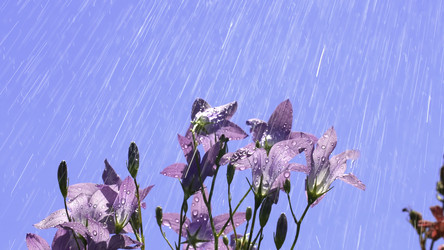 Similar image 22405260