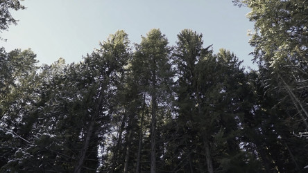 Similar image 22405320