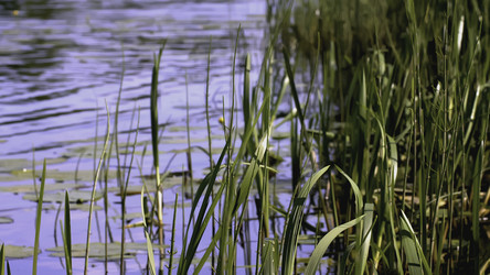 Similar image 22405335