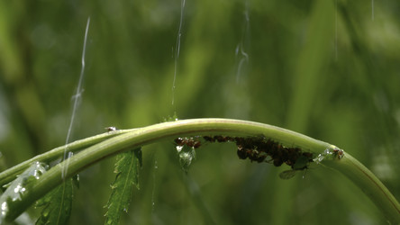 Similar image 22405349