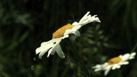 Similar image 22405380