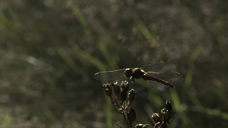 Similar image 22405395