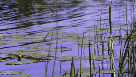 Similar image 22405425