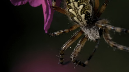 Similar image 22405440