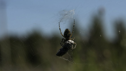 Similar image 22405455