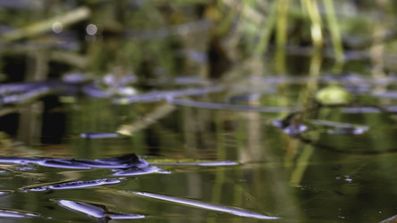 Similar image 22405500