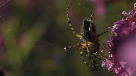 Similar image 22405521