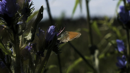 Similar image 22405539