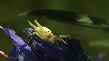 Similar image 22405567