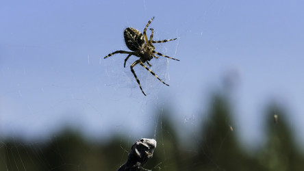 Similar image 22405644