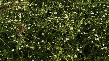 Similar image 22405659